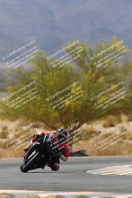 media/Apr-10-2022-SoCal Trackdays (Sun) [[f104b12566]]/Turn 5 Tree of Life (1040am)/